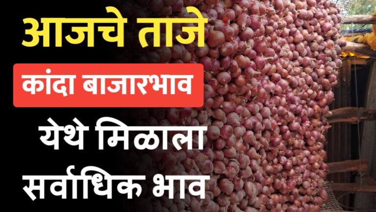 Kanda bajarbhav today ; आजचे 02 नोव्हेंबरचे कांदा बाजारभाव पहा.