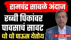 रामचंद्र साबळे यांचा हवामान अंदाज: रब्बी पिकांवर संकट आणि संभाव्य पाऊस.